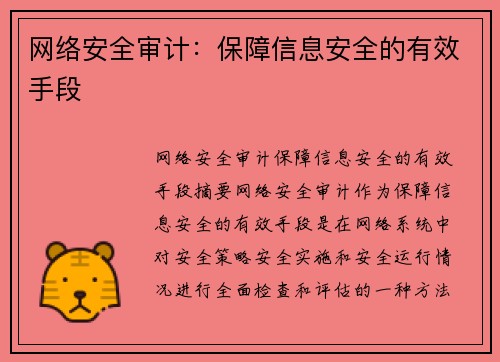 网络安全审计：保障信息安全的有效手段